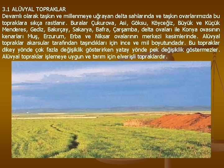 3. 1 ALÜVYAL TOPRAKLAR Devamlı olarak taşkın ve millenmeye uğrayan delta sahlarında ve taşkın