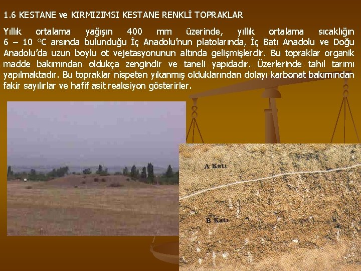 1. 6 KESTANE ve KIRMIZIMSI KESTANE RENKLİ TOPRAKLAR Yıllık ortalama yağışın 400 mm üzerinde,