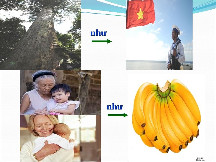 như 