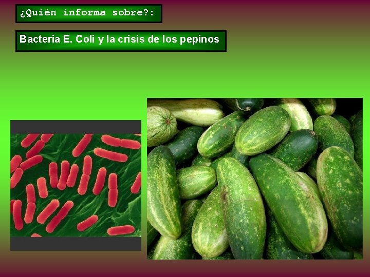 ¿Quién informa sobre? : Bacteria E. Coli y la crisis de los pepinos 