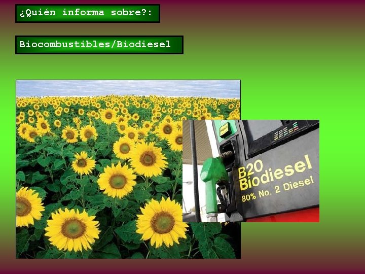 ¿Quién informa sobre? : Biocombustibles/Biodiesel 