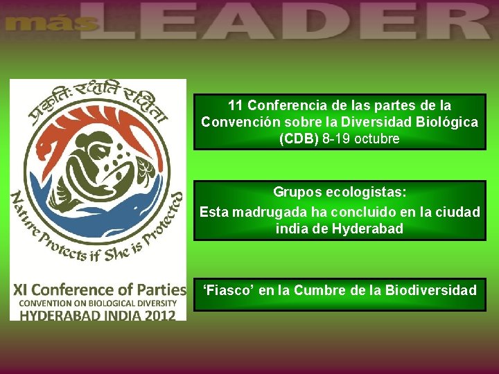 11 Conferencia de las partes de la Convención sobre la Diversidad Biológica (CDB) 8