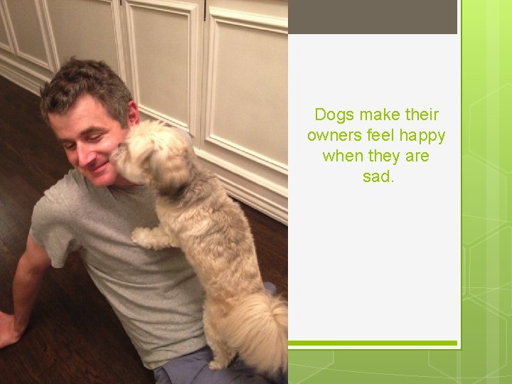 Dogs make their owners feel happy when they are sad. 