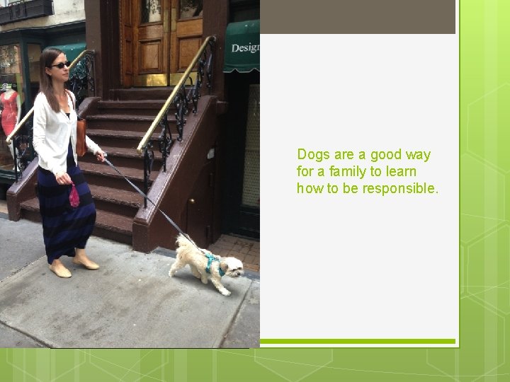 Dogs are a good way for a family to learn how to be responsible.