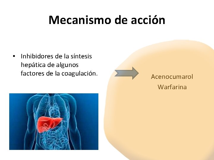 Mecanismo de acción • Inhibidores de la síntesis hepática de algunos factores de la