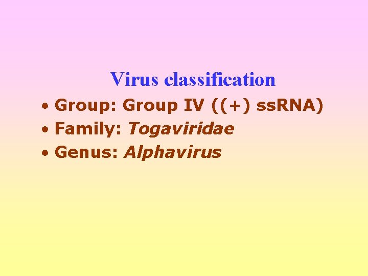 Virus classification • Group: Group IV ((+) ss. RNA) • Family: Togaviridae • Genus: