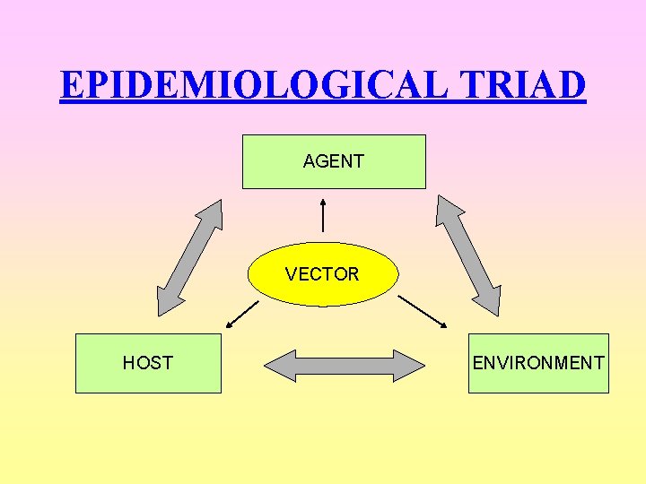 EPIDEMIOLOGICAL TRIAD AGENT VECTOR HOST ENVIRONMENT 