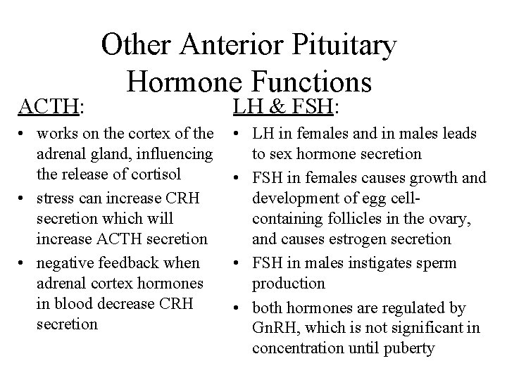 ACTH: Other Anterior Pituitary Hormone Functions • works on the cortex of the adrenal