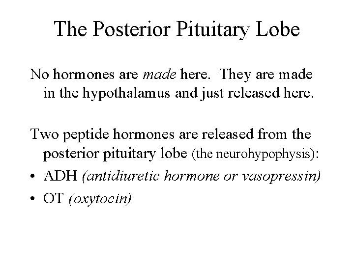 The Posterior Pituitary Lobe No hormones are made here. They are made in the