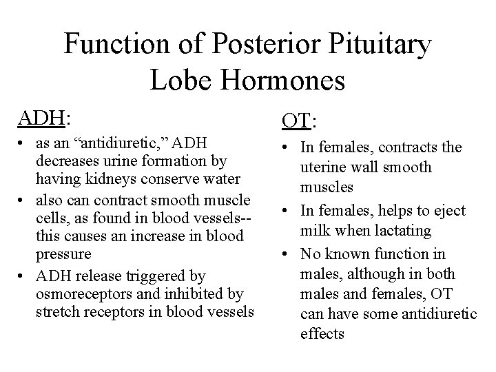 Function of Posterior Pituitary Lobe Hormones ADH: OT: • as an “antidiuretic, ” ADH