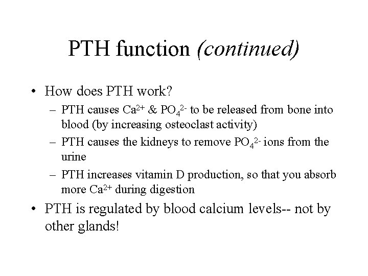 PTH function (continued) • How does PTH work? – PTH causes Ca 2+ &