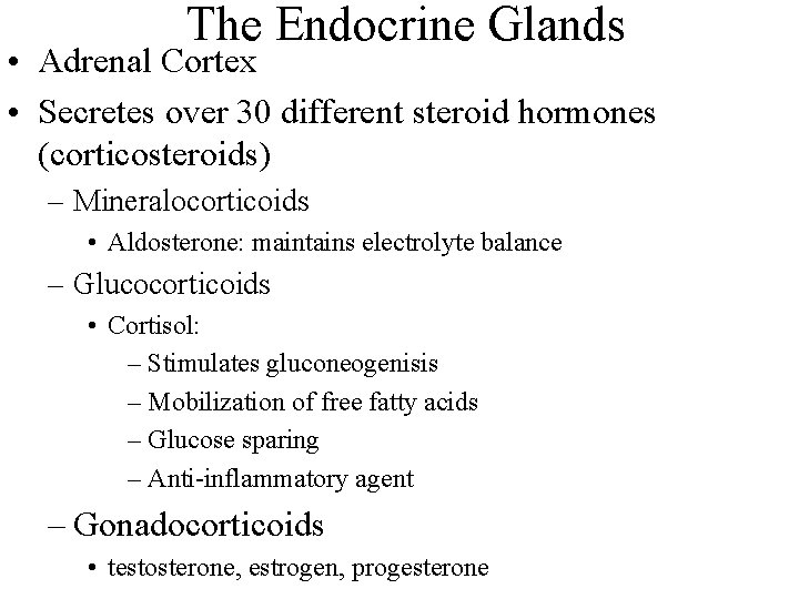The Endocrine Glands • Adrenal Cortex • Secretes over 30 different steroid hormones (corticosteroids)