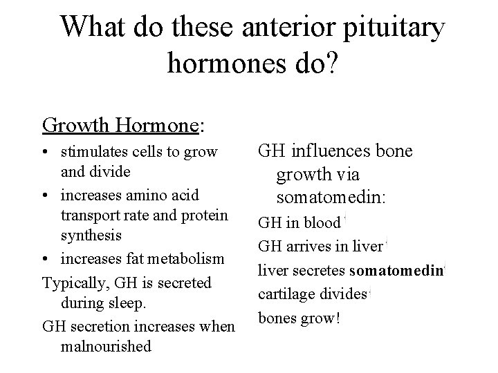 What do these anterior pituitary hormones do? Growth Hormone: • stimulates cells to grow