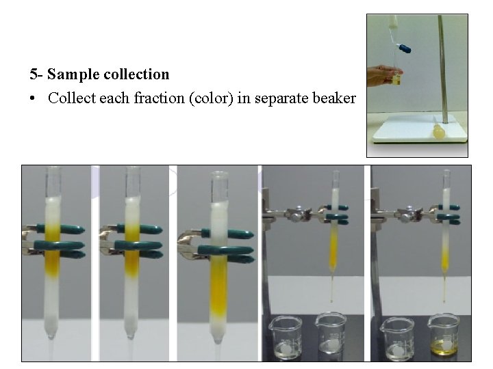 5 - Sample collection • Collect each fraction (color) in separate beaker 
