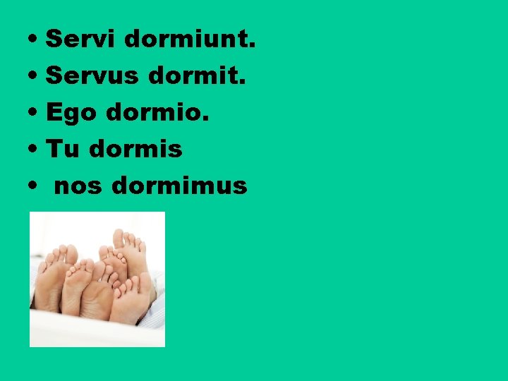  • Servi dormiunt. • Servus dormit. • Ego dormio. • Tu dormis •