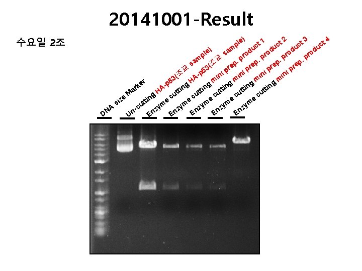 20141001 -Result 수요일 2조 4 2 3 e) t 1 ct ct ct pl