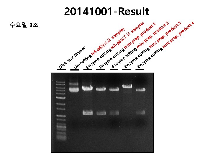 20141001 -Result 수요일 3조 4 2 3 e) t 1 ct ct ct pl