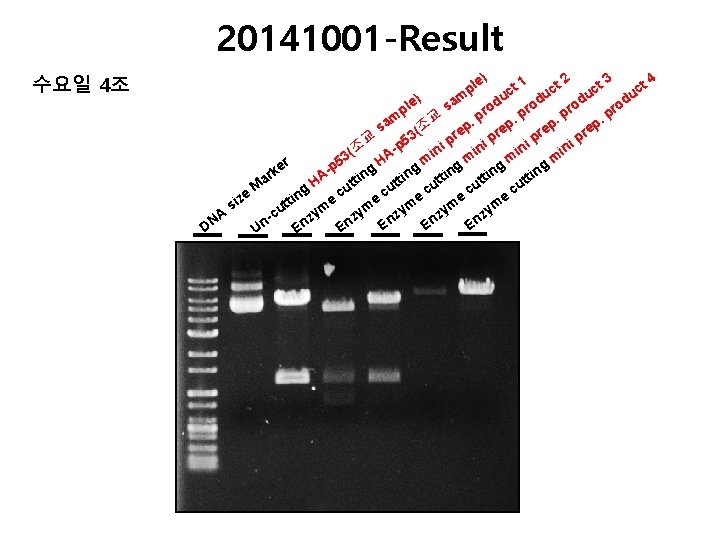 20141001 -Result 수요일 4조 4 2 3 e) t 1 ct ct ct pl