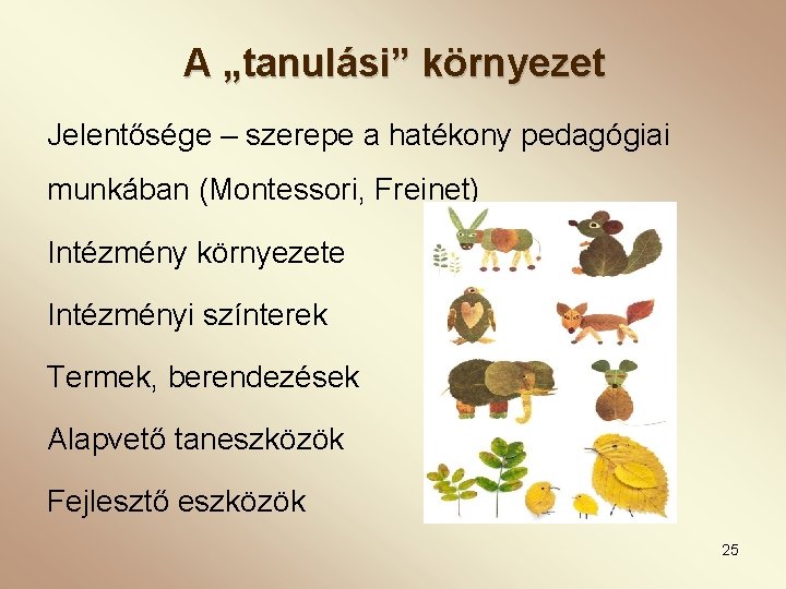 A „tanulási” környezet Jelentősége – szerepe a hatékony pedagógiai munkában (Montessori, Freinet) Intézmény környezete