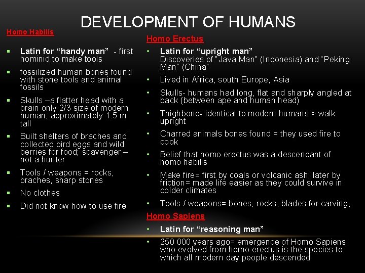 Homo Habilis DEVELOPMENT OF HUMANS Homo Erectus Latin for “handy man” - first hominid