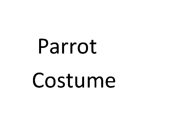 Parrot Costume 