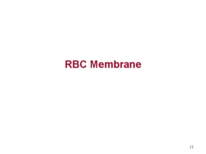 RBC Membrane 11 