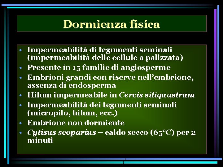 Dormienza fisica • Impermeabilità di tegumenti seminali (impermeabilità delle cellule a palizzata) • Presente