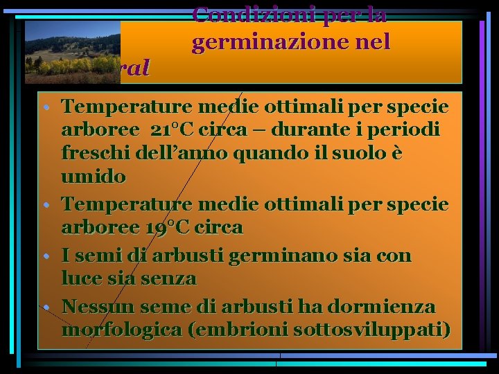 Condizioni per la germinazione nel Matorral • Temperature medie ottimali per specie arboree 21°C