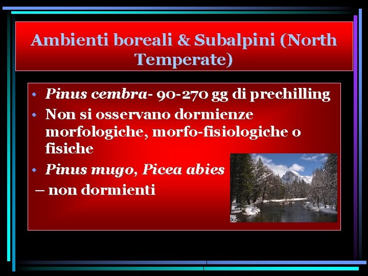 Ambienti boreali & Subalpini (North Temperate) • Pinus cembra- 90 -270 gg di prechilling