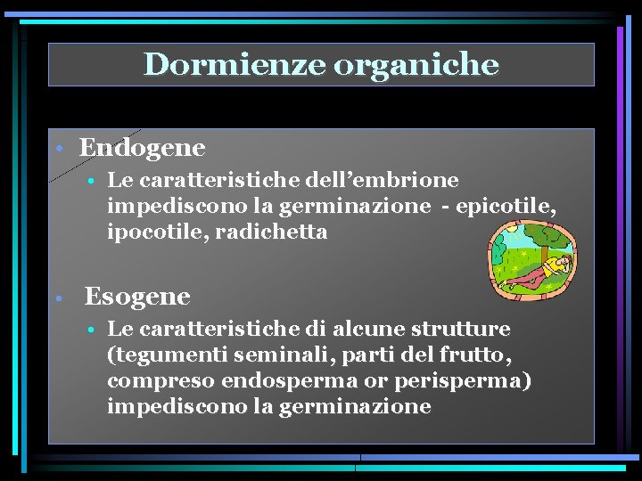 Dormienze organiche • Endogene • Le caratteristiche dell’embrione impediscono la germinazione - epicotile, ipocotile,