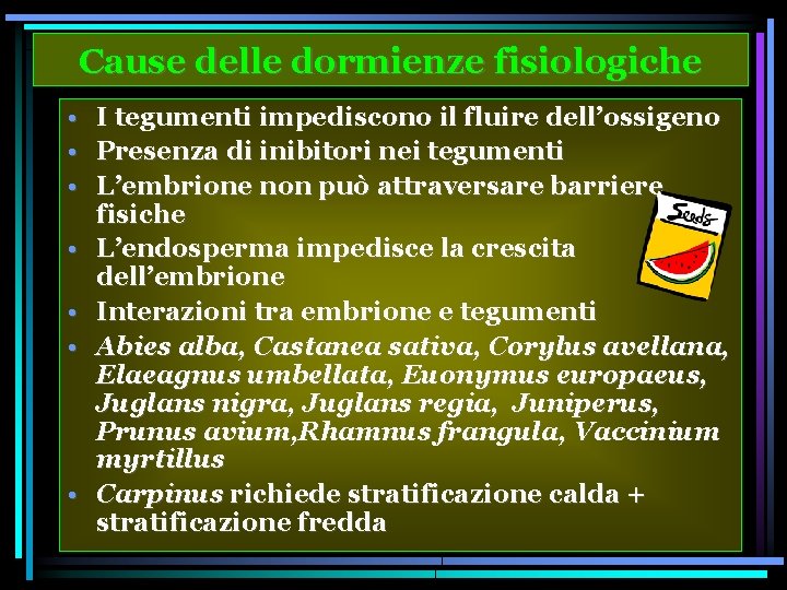 Cause delle dormienze fisiologiche • I tegumenti impediscono il fluire dell’ossigeno • Presenza di