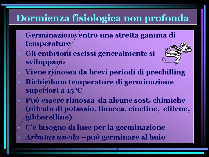 Dormienza fisiologica non profonda • Germinazione entro una stretta gamma di temperature • Gli
