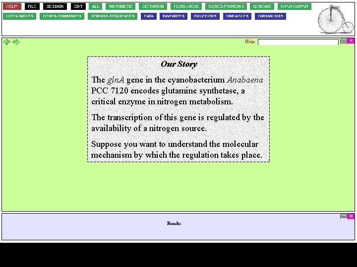 Our Story The gln. A gene in the cyanobacterium Anabaena PCC 7120 encodes glutamine