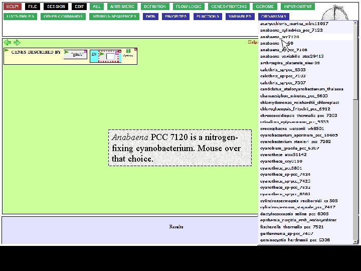 Anabaena PCC 7120 is a nitrogenfixing cyanobacterium. Mouse over that choice. 