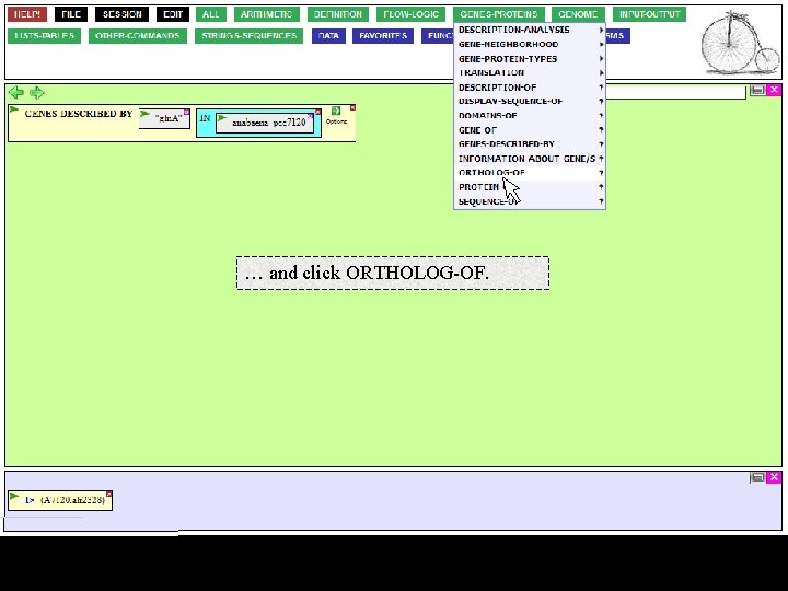 … and click ORTHOLOG-OF. 