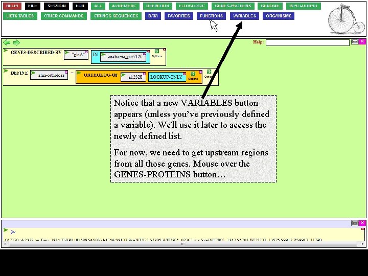 Notice that a new VARIABLES button appears (unless you’ve previously defined a variable). We'll