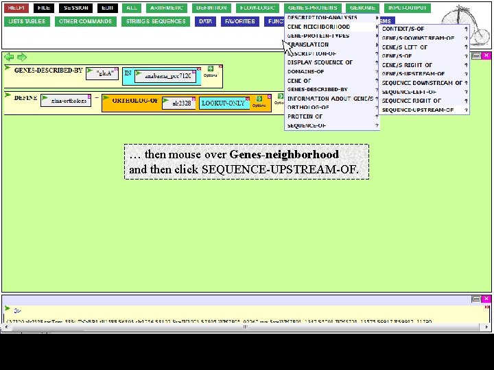 … then mouse over Genes-neighborhood and then click SEQUENCE-UPSTREAM-OF. 