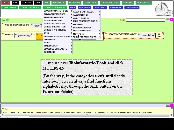 … mouse over Bioinformatic-Tools and click MOTIFS-IN. (By the way, if the categories aren't