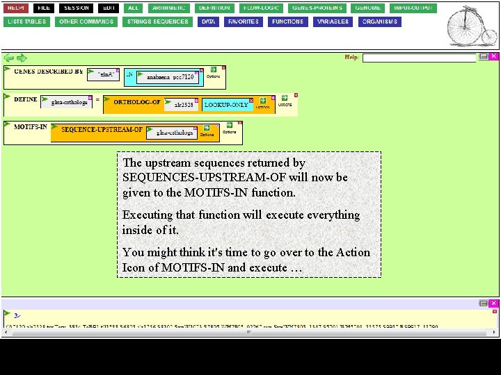 The upstream sequences returned by SEQUENCES-UPSTREAM-OF will now be given to the MOTIFS-IN function.