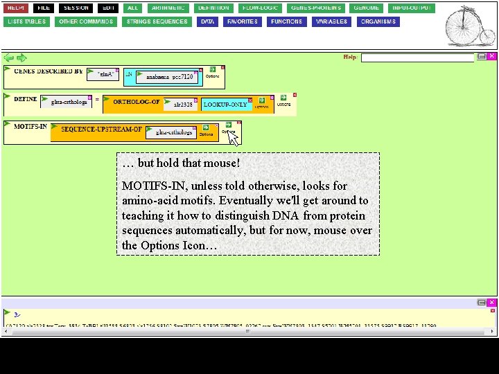 … but hold that mouse! MOTIFS-IN, unless told otherwise, looks for amino-acid motifs. Eventually