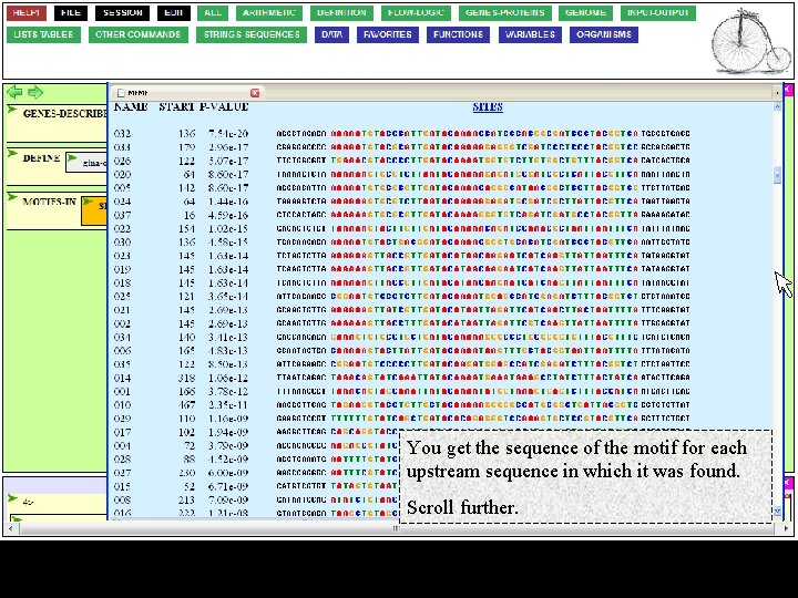 You get the sequence of the motif for each upstream sequence in which it