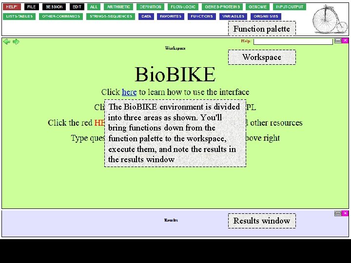 Function palette Workspace The Bio. BIKE environment is divided into three areas as shown.