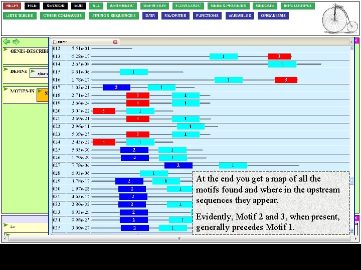 At the end you get a map of all the motifs found and where