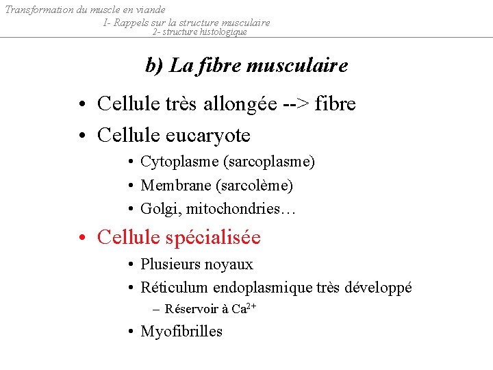 Transformation du muscle en viande I- Rappels sur la structure musculaire 2 - structure