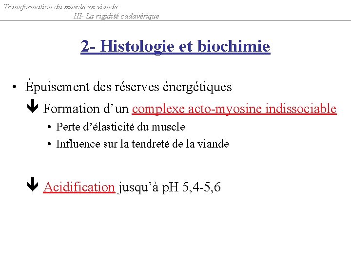 Transformation du muscle en viande III- La rigidité cadavérique 2 - Histologie et biochimie