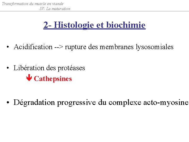 Transformation du muscle en viande IV- La maturation 2 - Histologie et biochimie •