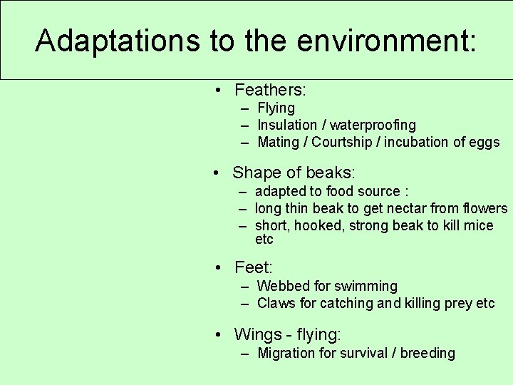 Adaptations to the environment: • Feathers: – Flying – Insulation / waterproofing – Mating
