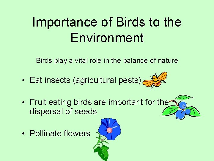 Importance of Birds to the Environment Birds play a vital role in the balance