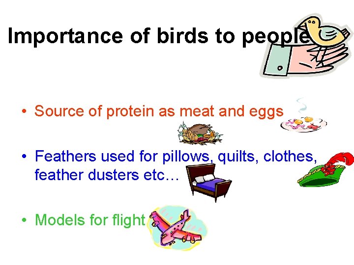 Importance of birds to people • Source of protein as meat and eggs •