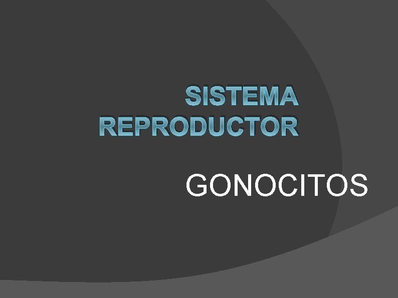 SISTEMA REPRODUCTOR GONOCITOS 